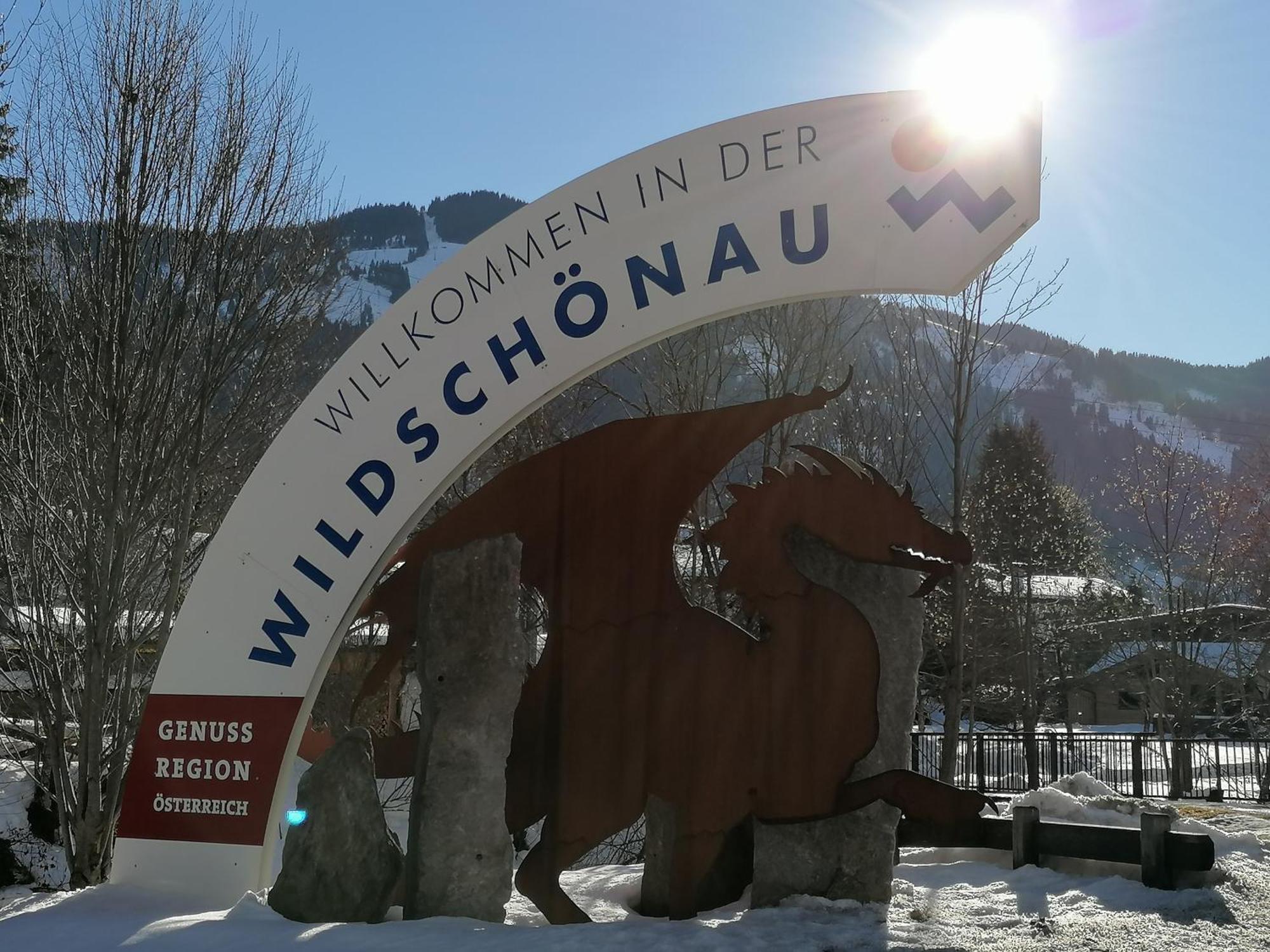 Christof,S Ferienwohnung Wild231 奥伯劳 外观 照片